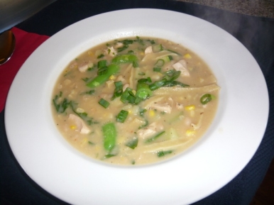 Bi-Season Chicken Noodle Soup